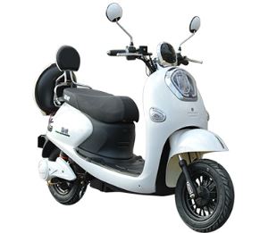 Skuter Listrik 12V-60V Dijual