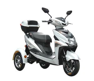 Sepeda Roda Tiga Listrik Untuk Lansia Dan Cacat